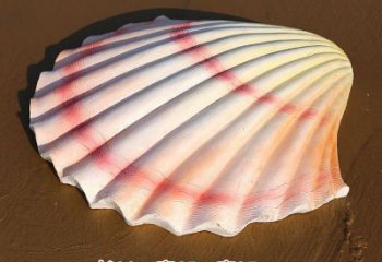 貝殼雕塑，玻璃鋼貝殼雕塑，海洋生物雕塑擺件 (2)