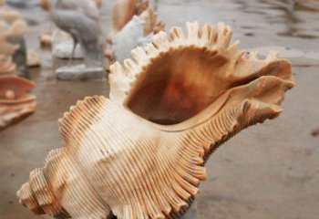 貝殼雕塑，玻璃鋼貝殼雕塑，海洋生物雕塑擺件 (3)