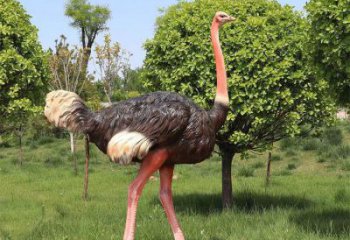 鴕鳥雕塑廠家，公園廣場動物，大型園林小品