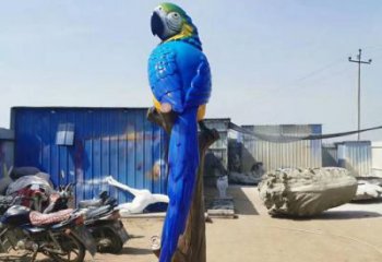 玻璃鋼抽象鸚鵡雕塑 店門口彩繪雕塑 步行街?jǐn)[件